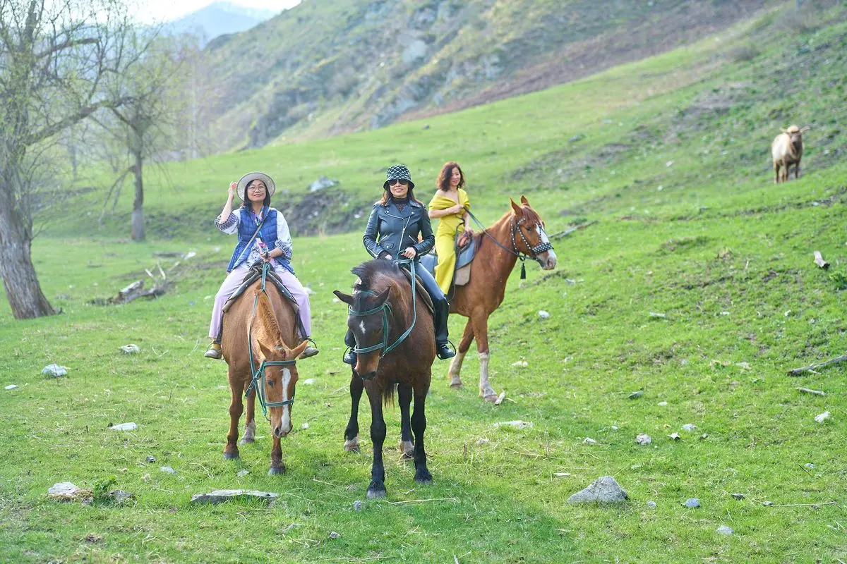 Altai – Những điều thú vị về Altai huyền bí: hành trình khám phá trái tim ma thuật Siberia