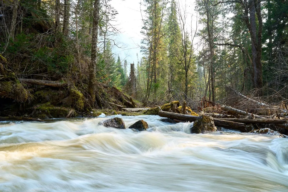 Altai – Kho tàng văn hóa: người dân Altai và những truyền thống sống động