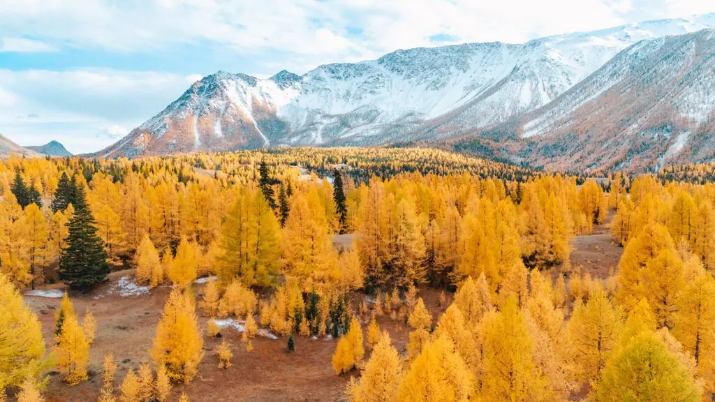Thu vàng Altai – Vì sao nên đi vào mùa thu?