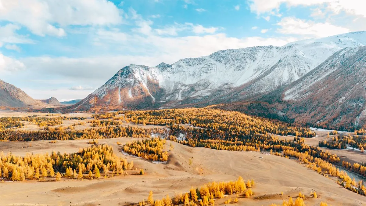 Thu vàng Altai – Địa lý của phép màu vàng: Đi đâu để tận hưởng mùa thu Altai?