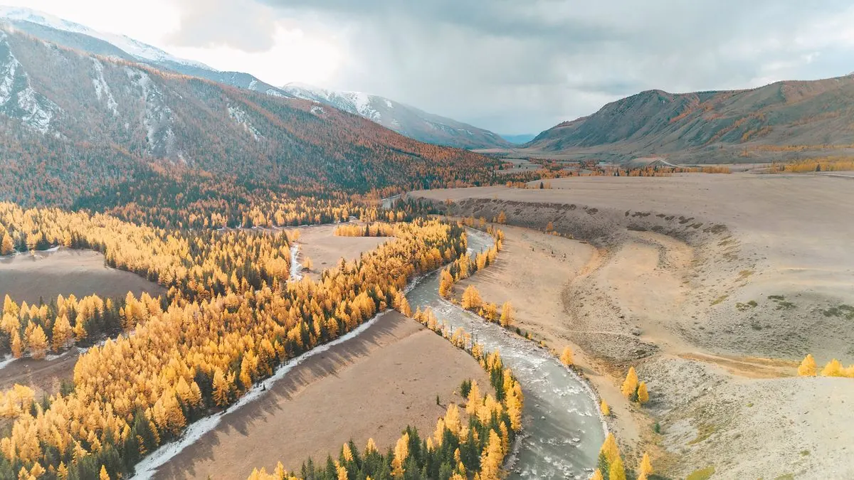 Thu vàng Altai – Địa lý của phép màu vàng: Đi đâu để tận hưởng mùa thu Altai?