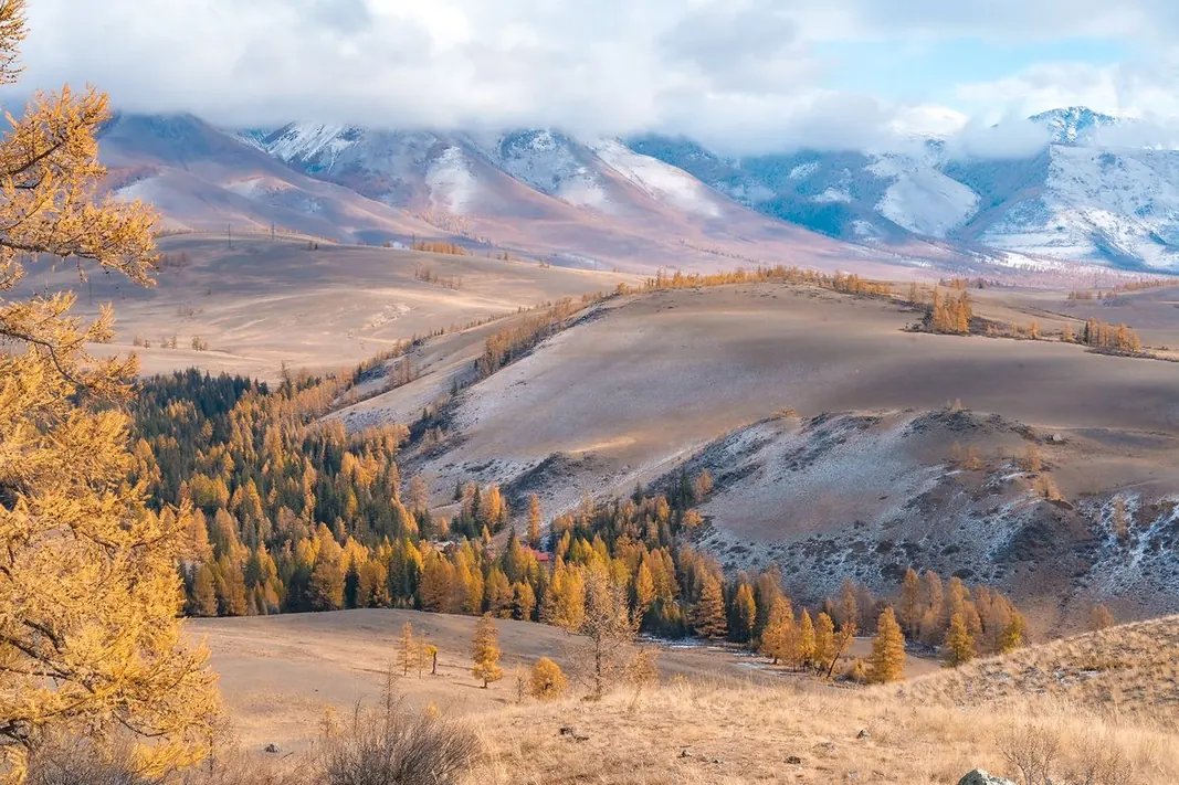 Thu vàng Altai – Địa lý của phép màu vàng: Đi đâu để tận hưởng mùa thu Altai?