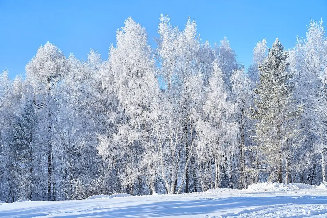 Taltsy – Dạo quanh “vũ trụ thu nhỏ” của Siberia