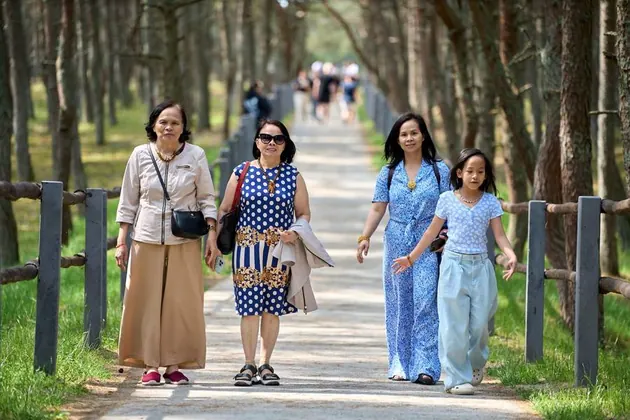 Khu rừng nhảy múa
