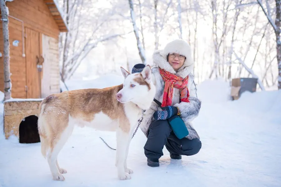 Xe chó Husky ở Kirovsk