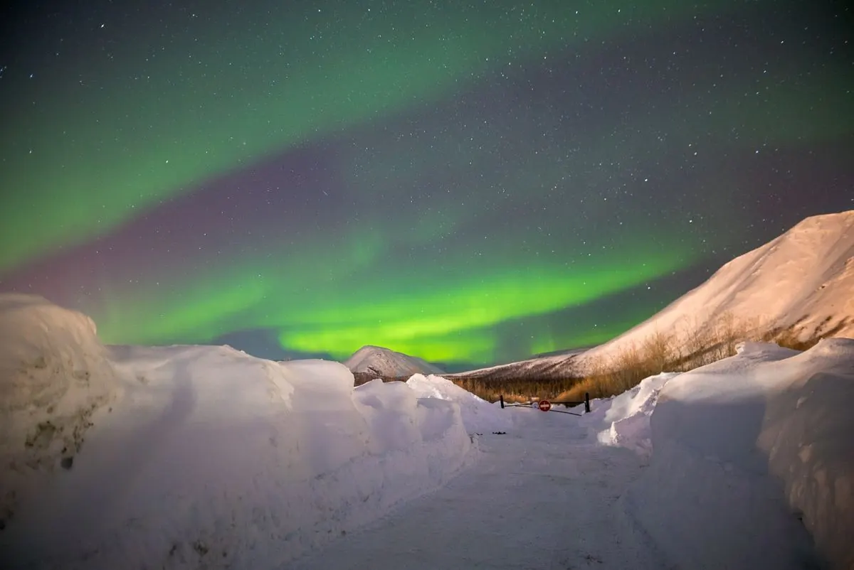 Cực quang trên vùng tuyết Murmansk